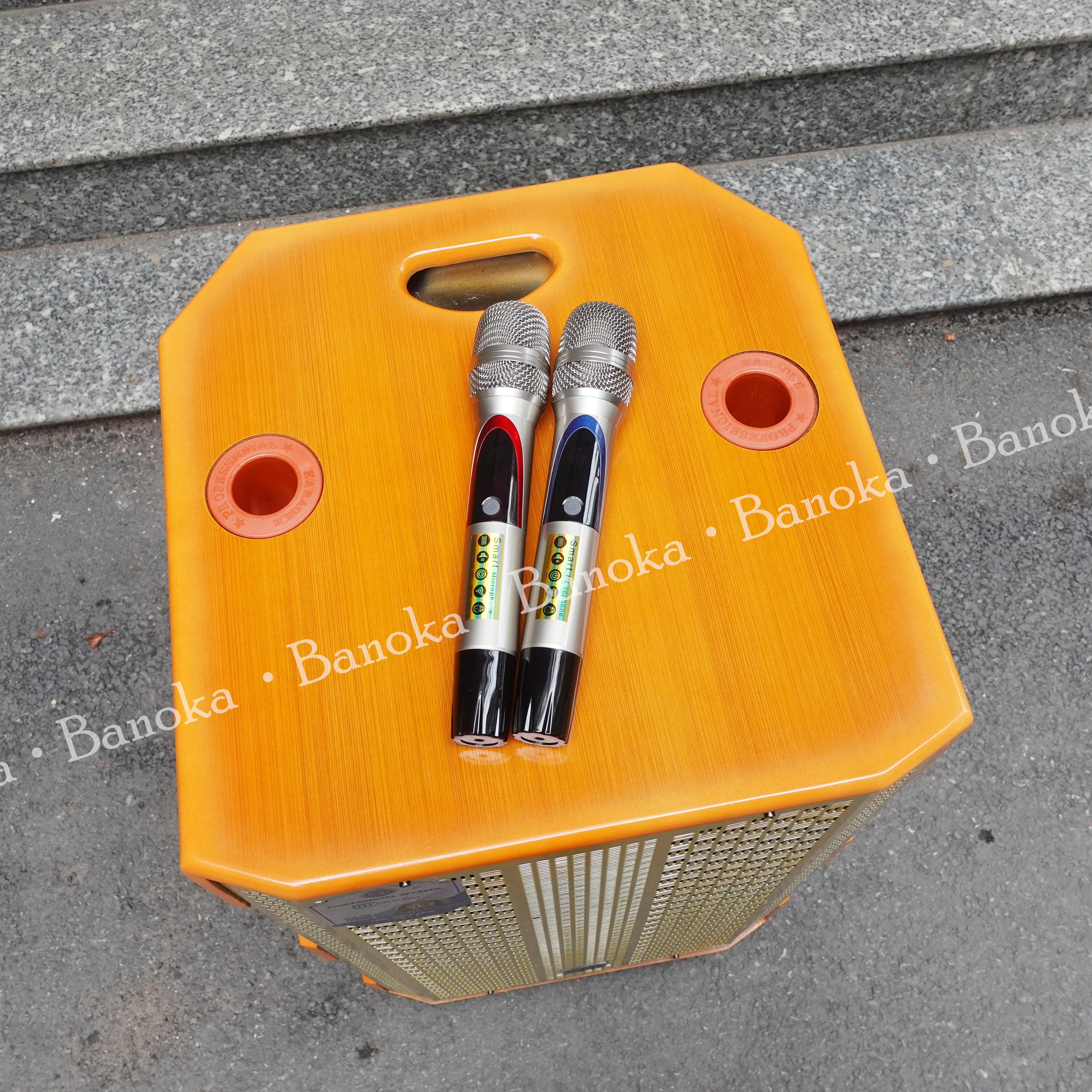 https://banoka.vn/loa kéo CM 569Plus + 10